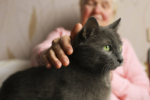 can I bring my pet to an assisted living facility_ a senior has her pet in her assisted living facilities