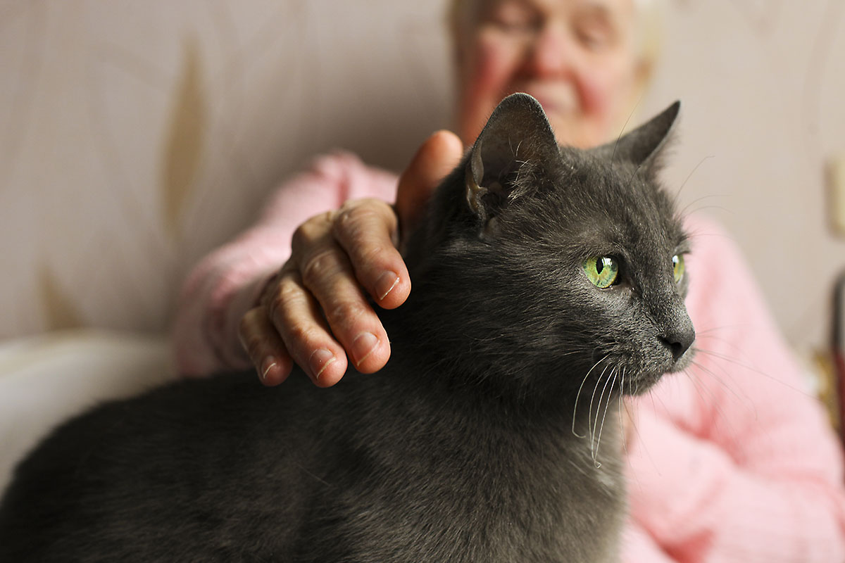 can I bring my pet to an assisted living facility_ a senior has her pet in her assisted living facilities