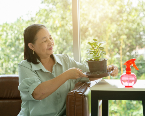Senior holding a plant