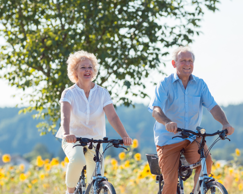 Summer’s Landing (50) Two Seniors cycling together