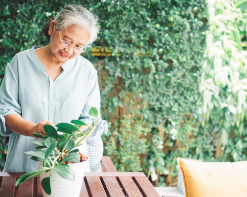 Senior Citizen gardening
